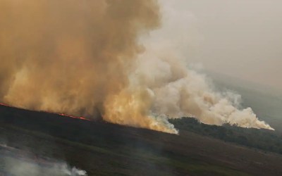 Dino homologa parcialmente plano anti-incêndios na Amazônia e Pantanal