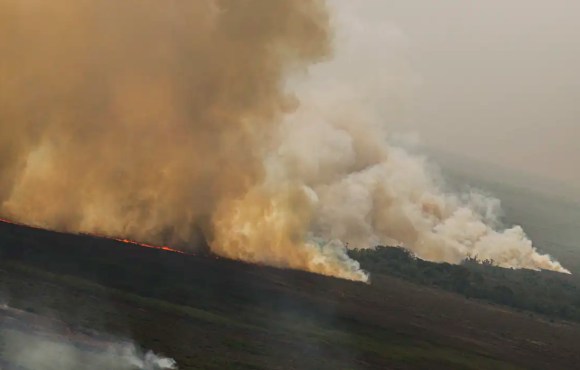 Dino homologa parcialmente plano anti-incêndios na Amazônia e Pantanal